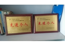 先進個人
