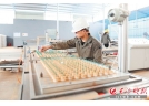 一步一個(gè)“大腳印” 瀏陽花炮向文化創(chuàng)意產(chǎn)業(yè)轉(zhuǎn)型升級(jí)