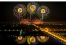 瀏陽花炮全方面探索，目標直指“城市”