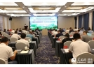 要讓煙花適合各類群體消費 全國《煙花爆竹安全與質量》新標準通過審查
