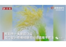 場面催人淚下！煙花公司設(shè)計出稻穗狀煙花：袁爺爺專屬