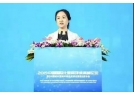 湖南瀏陽：做好“加減法” 提質升級煙花產業