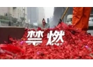 全國(guó)多地禁放煙花爆竹 部分企業(yè)將業(yè)務(wù)重心轉(zhuǎn)國(guó)外